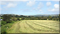 SH6102 : New Mown Hay by Des Blenkinsopp