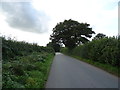 Minor road from Doley towards Cheswardine