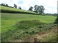 Hedges along the B4403 near Ty