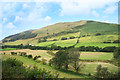 Towards Foel Wyllt