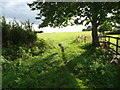 Footpath off Smithy Lane, Seighford