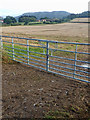 Double gate into field below Pallet Hill