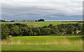 NC8904 : View from the Brora Heritage Centre by valenta