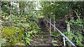 Steps on the public footpath climbing from Pont-rhyd-y-groes