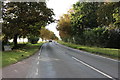 Lechlade Road by Buscot Gardens