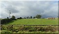 Grazing land on the North side of the B30 between Creggan and Cregganduff