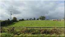H9316 : Grazing land on the North side of the B30 between Creggan and Cregganduff by Eric Jones