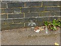 Bench mark, Roebuck Lane railway bridge