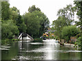 The Grand Union Canal by Jacks Lane (2)