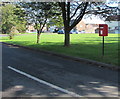 Queen Elizabeth II postbox, Pinewood Square, Eglwys Brewis