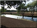 Pond near East Ravendale