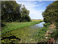 The Horncastle Canal