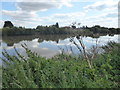 Looking across the River Trent at Owston Ferry