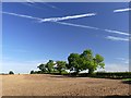 SK7666 : Blue sky above a ploughed field by Graham Hogg