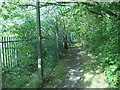 Public footpath, heading north from Pontefract Road, Barnsley