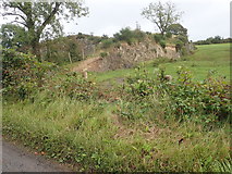 H9111 : Disused stone quarry on the East side of Drumboy Road by Eric Jones