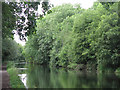 The Grand Union Canal near South Harefield (2)