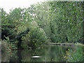 The Grand Union Canal near South Harefield (3)