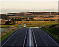 The A90 at Cookney