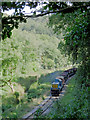 Dean Forest Railway near Upper Forge