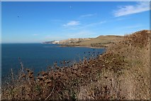 SY9078 : View from South West Coast Path near Kimmeridge Bay by Oast House Archive