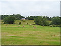 Silage field and bales