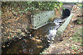 Stanburn Stream below Temple Pond