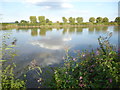 Looking across the River Trent from West Butterwick