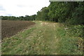 Footpath into the Rookery