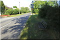 Bench on Park Lane