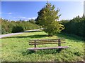 Bench on spare ground beside a minor road