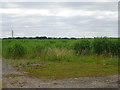 Crop field off Steventon Road, East Hanney