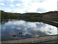 Compstall Mill Pond