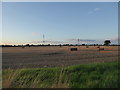 Stubble field with bales in the evening sunlight