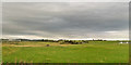 View from train south of Carstairs Junction