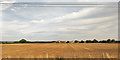 Ploughed field, Moor House Farm