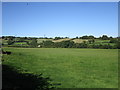 Grass field near Ash Grove