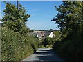 Shutterton Lane, new houses and the wind turbine near Eastdon Woods