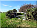 Llwybr ceffyl i Gae Shew Croes-lan / Bridleway to Croes-lan Showfield