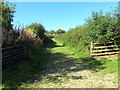 Llwybr ceffyl wrth ymyl Maes Sied / Bridleway at Maes Sied