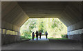 SK5205 : Walkers under the M1 by Jim Barton