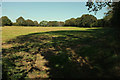 Field near Hareston Cross