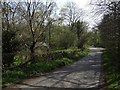 Road, Knockbrex