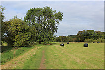 SE1048 : Dales Way near Hadfield Farm by Chris Heaton