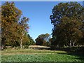 First signs of Autumn in Cassiobury Park