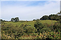 SJ9850 : Staffordshire pasture south-east of Cheddleton by Roger  D Kidd