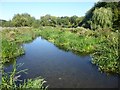 View from a footbridge over the River Chess