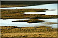 Sheep at Loch of Trondavoe, Brae