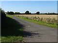 Drive to Sheep Leys Farm