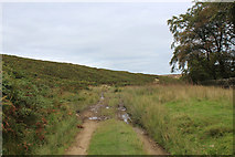SE0355 : Track below Halton Moor by Chris Heaton